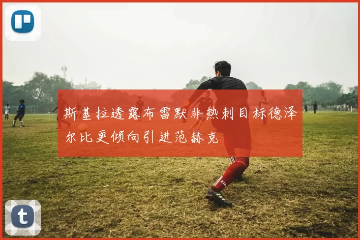 斯基拉透露布雷默非热刺目标德泽尔比更倾向引进范赫克