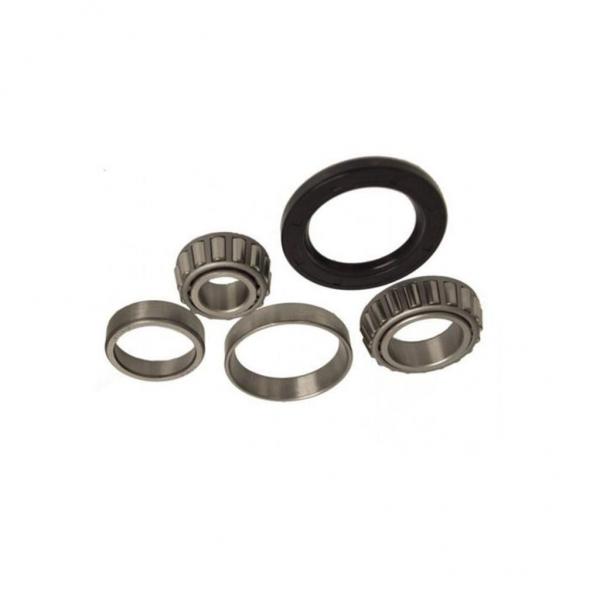 Sprag Type One Direction Clutch Bearing Bwc-13229 #1 image